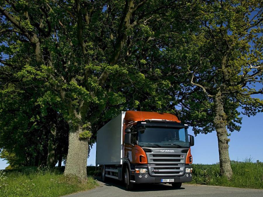  Scania P230 4x2 2004 года  (фото 3 из 30)